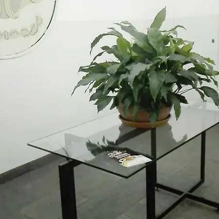 Holiday In Apartment